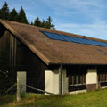 Forsthaus Buchenegg, Stallikon